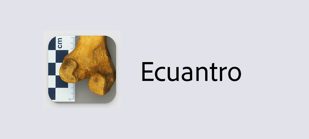 Ecuantro header